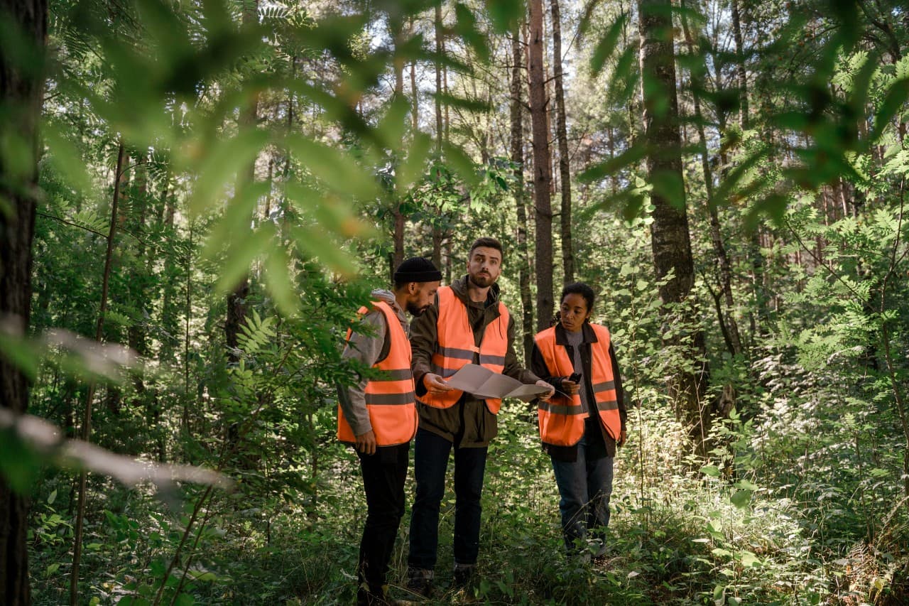Forest and Conservation Technician